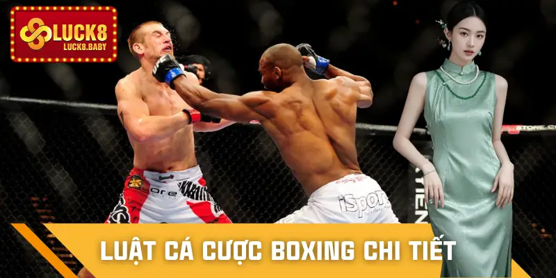 ca-cuoc-boxing-luat-choi