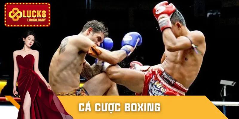 ca-cuoc-boxing