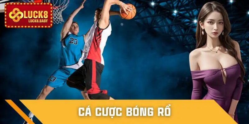 cmd-the-thao-dat-cuoc-bong-ro