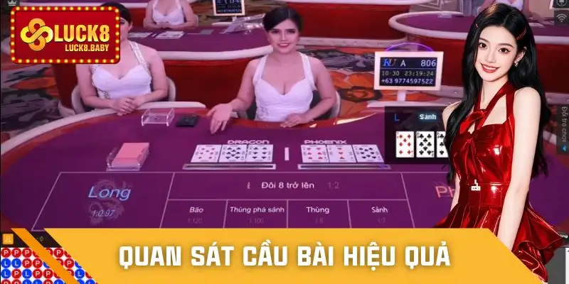 luck8-chi-ban-choi-trac-kim-hoa-quan-sat-cau-bai